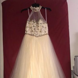 Quinceanera/Sixteens/Prom Dress